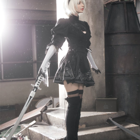 2B Cos

