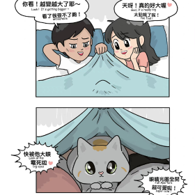 猫猫

twi:CN